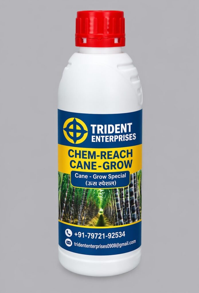 chem reach cane grow