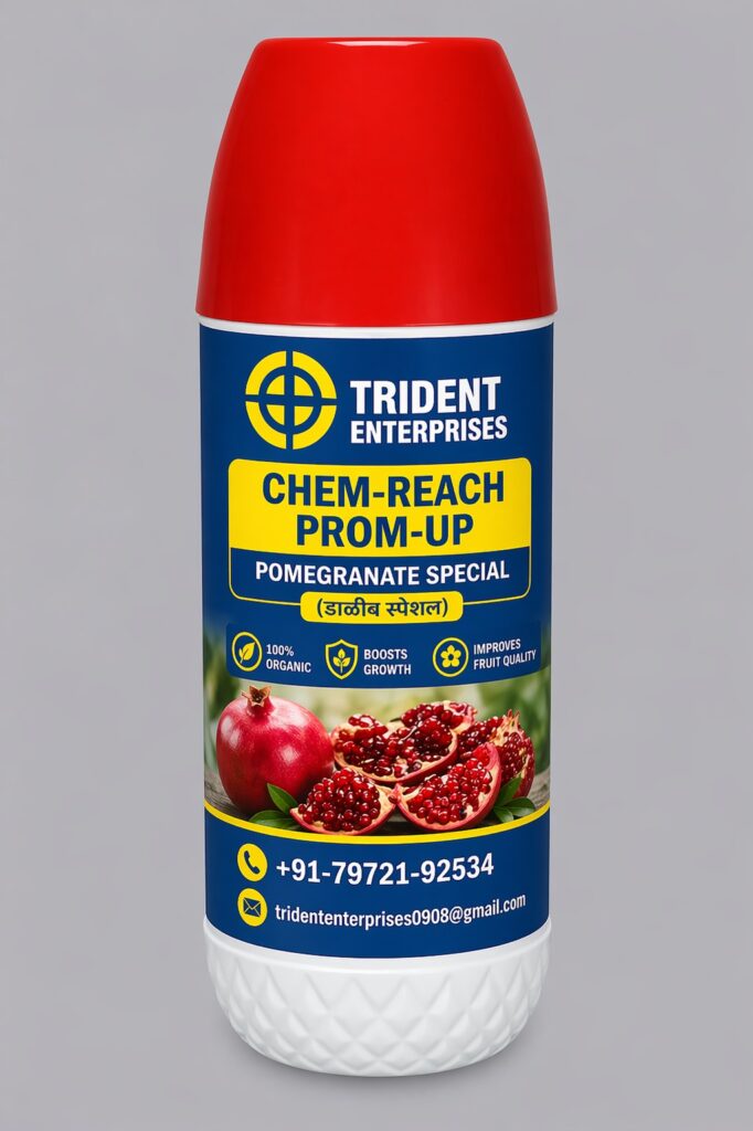 cream reach prom up
