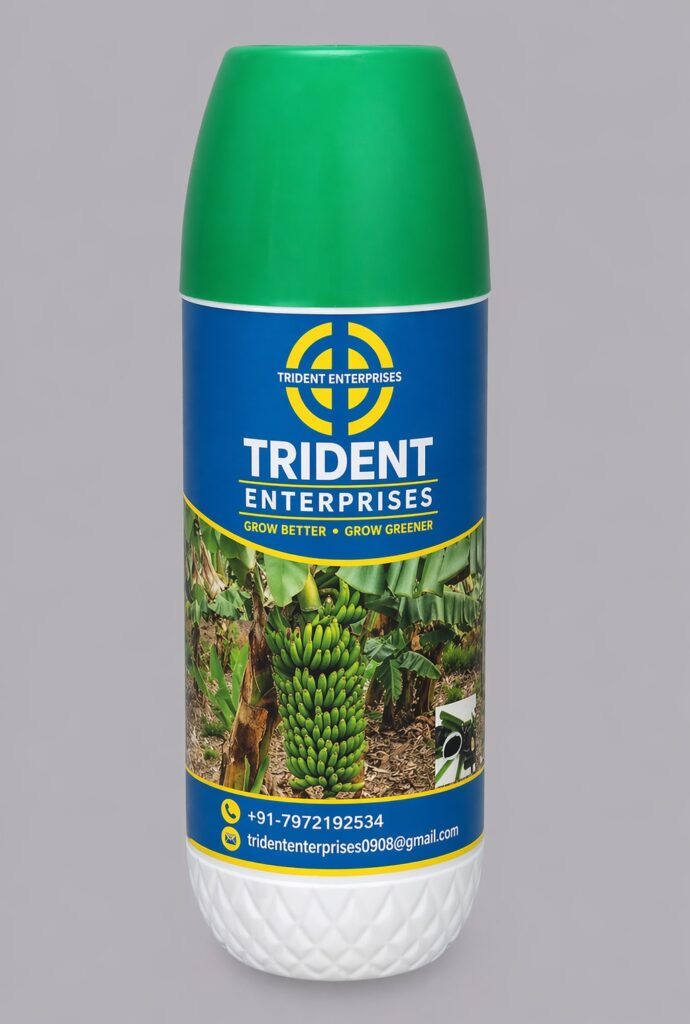 trident enterprises